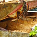 Floats, Nets and other Fishing Stuff