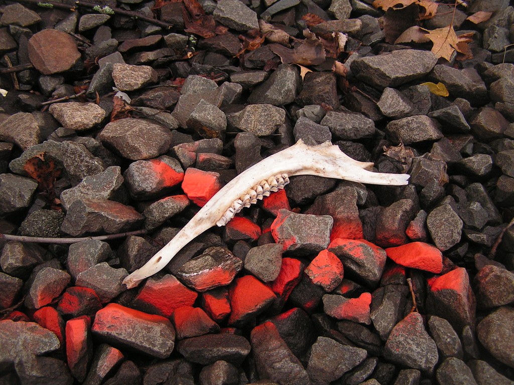 Jawbone