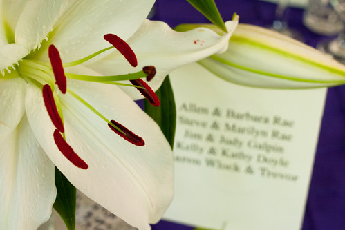 2011_07_ColleenDukeWedding_small-101