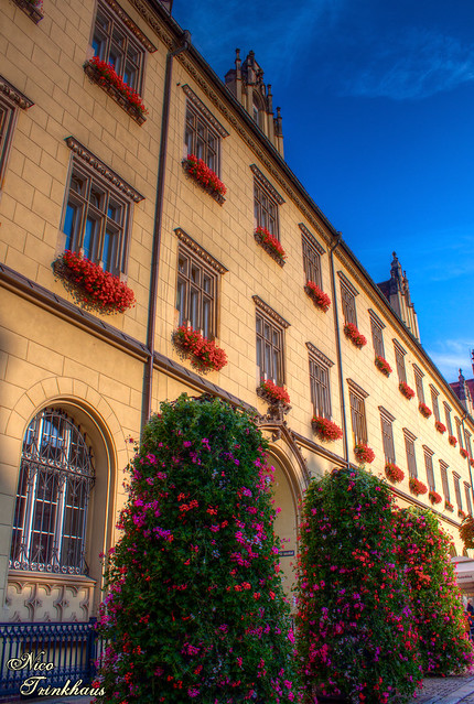 Summer in Wrocław - Rynek