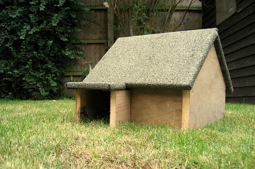 George Wheelhouse Fine Art Nature Photography Building A Hedgehog House