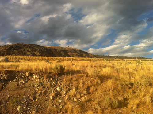 Montana