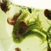 snail