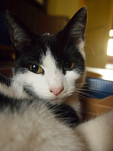 Three cheers for big feet