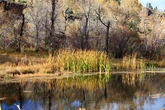 pretty sunny day 016