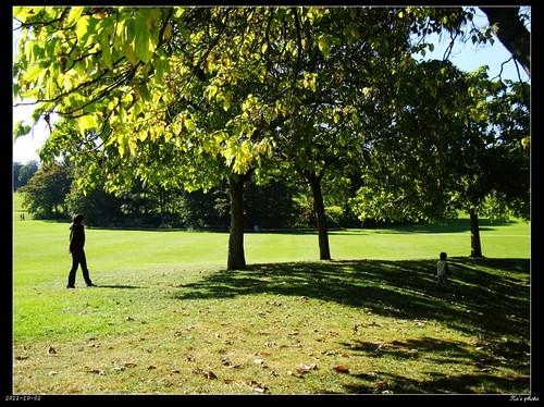 DSC04849