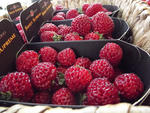 lovechild berries