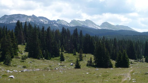 Vercors