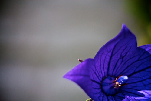 IMG_4791 by ∞intimation∞