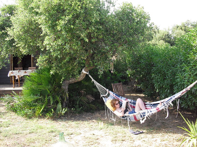 Hammock