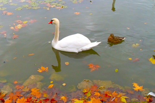 I ain't joking man, you got to ramble because I'm leaving.