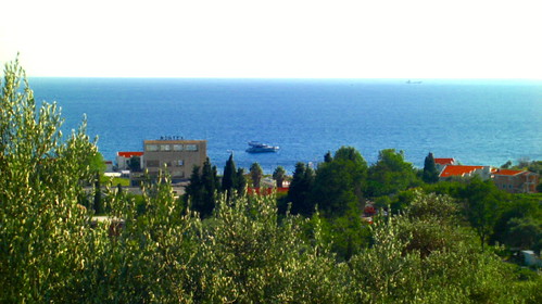 Scream my name on the microphone !