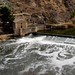 IMG_0810