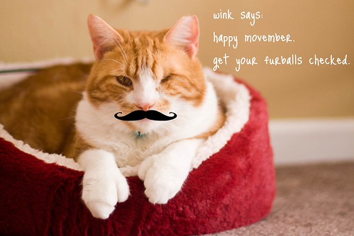 wink movember.