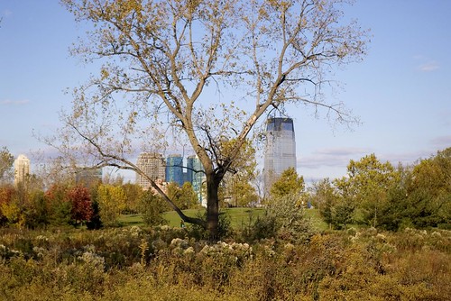 IMGP4941rd: In-A-Gadda-Da-Vida, Baby