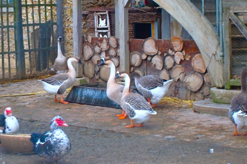 I ain't joking man, you got to ramble because I'm leaving.