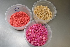 Different seed samples await germination testi... Different seed samples await germination testi...