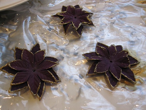 Purple flowers