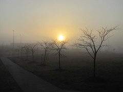 Absolute Patience - Live Life