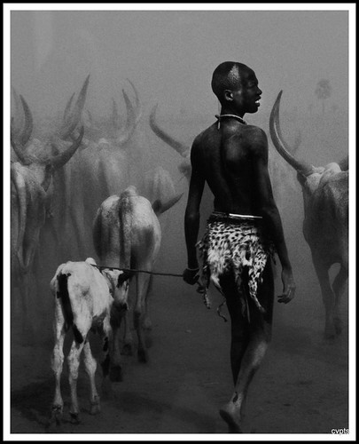 sebastião salgado - pedaços