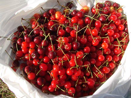 PieCherries