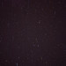 109 / 365 : quadrantids.