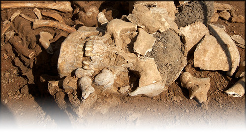 imagen-entrada arqueologia