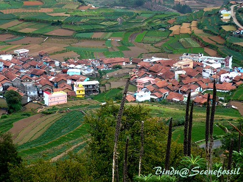 Kodaikanal : Valley - Closer