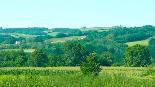 La Confiance (dernier sujet)