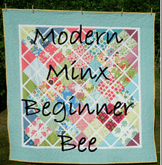Modern Minx Beginner Bee