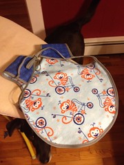 Zach's Bapron - back