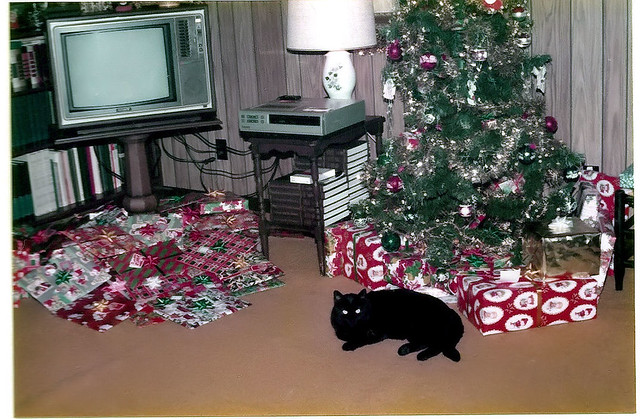 We often confused the TV with the Tree