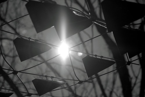 I Blinded Myself For This?