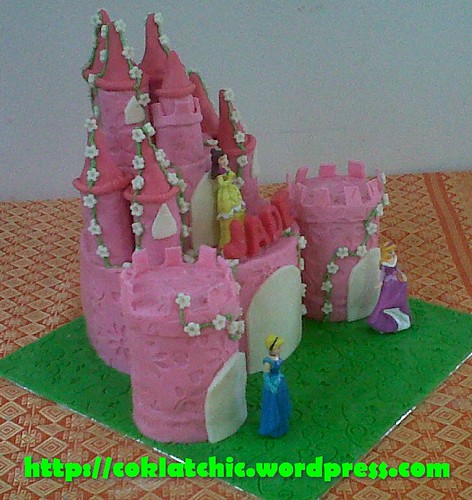 Cake Castle Princess