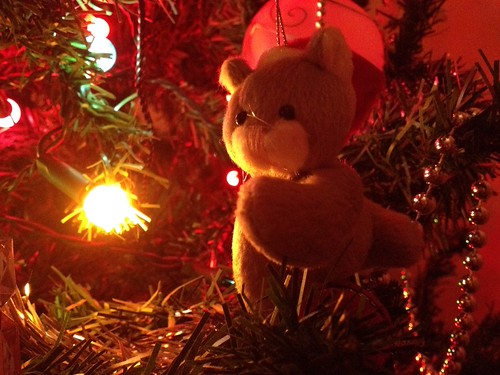 There's a cat in our tree!