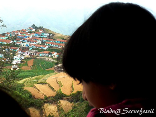 Girl watching the valley