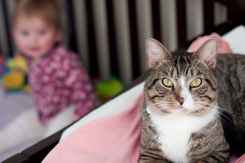 Vivi and her gaurdian cat.