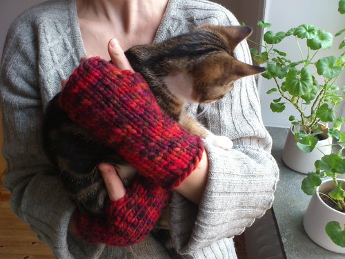 Wristwarmers & Vincent