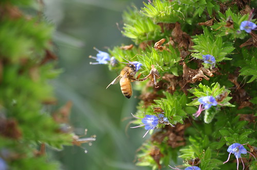 2012-04-24 - Point Loma and San Juan Capistrano 349 by robj_1971