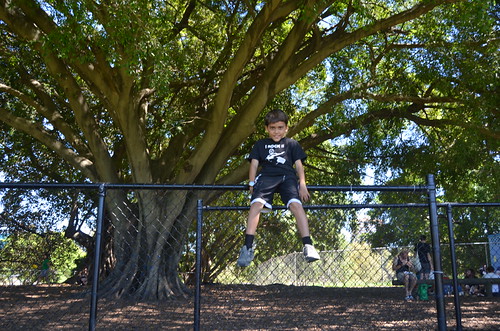 Brisbane March 2011 042