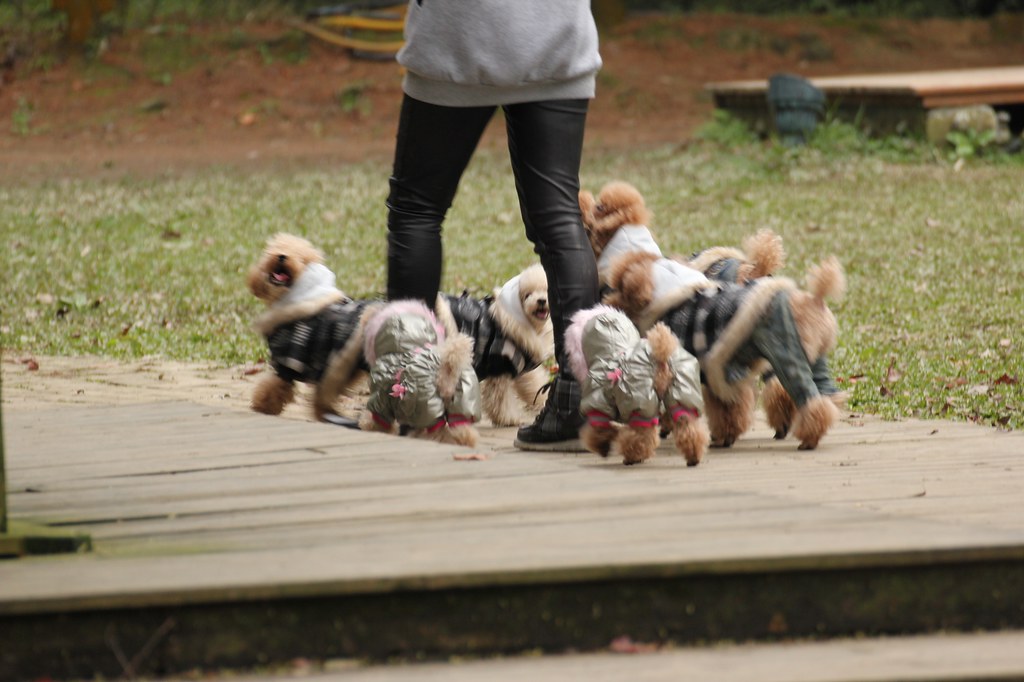 苗栗威秀 苗栗頭份 走吧 我們去尚順看電影 6 10尚順購物中心威秀影城開始營運 Xvleq