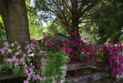 Oklahoma Spring Preparing for Spring | Floridahoma