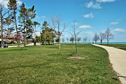 View of path by lake in park