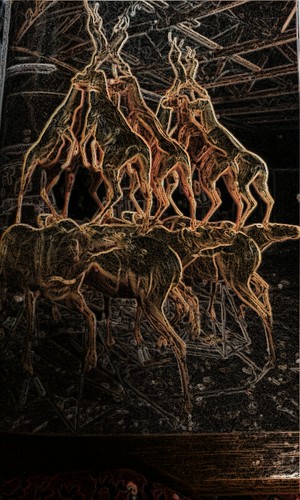 #5