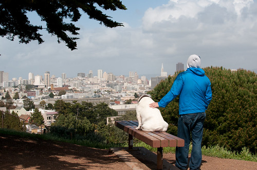 man and his dog