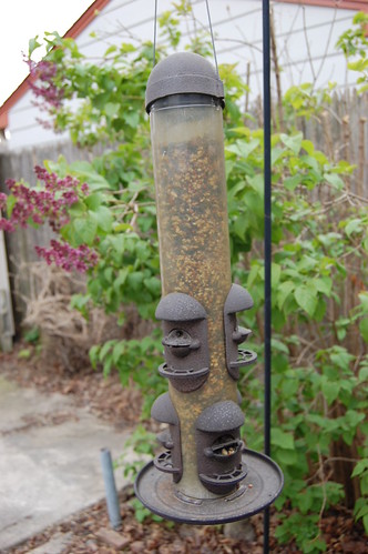 a full long bird feeder hanging off shepherd's hook