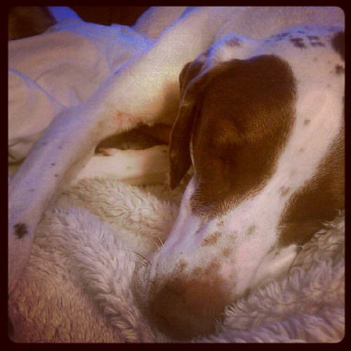 Taken with Instagram