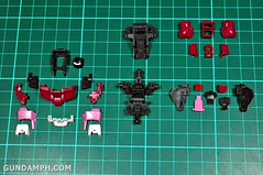 RG Strike Rouge EXPO Limited Real Grade OOTB Snap Fit Review (64)