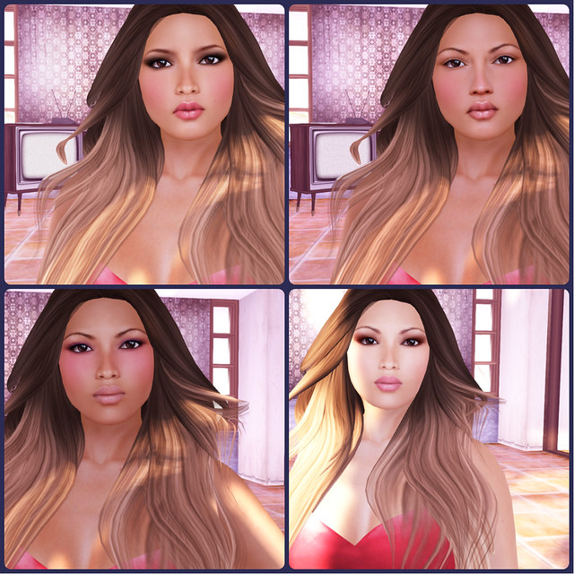 laq essential collage