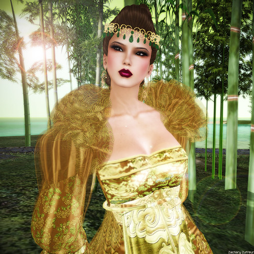 CoC Entry - Debbie Jasper